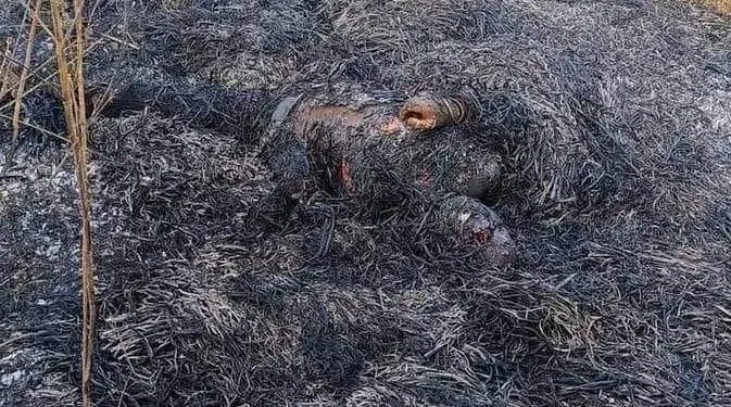 सिरहाको धनगढीमाई नगरपालिका ६ स्थित गागन खोलामा हत्या गरेर जलाए