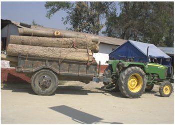 अबैध काठ सहितको ट्रयाक्टर र चालक पक्राउ