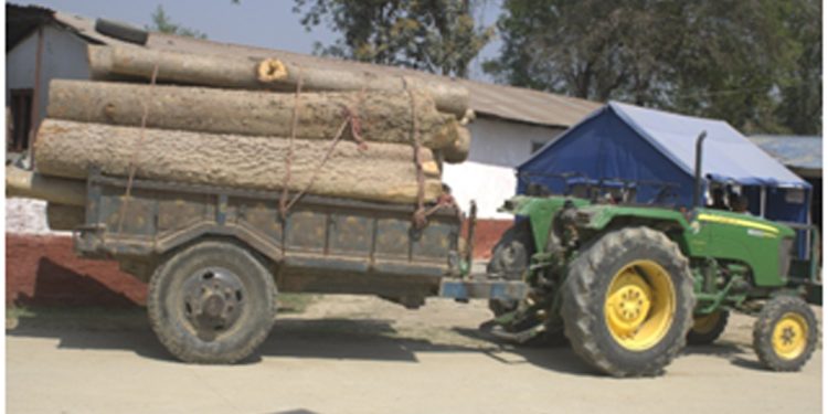 अबैध काठ सहितको ट्रयाक्टर र चालक पक्राउ